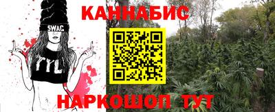 крисы Аша