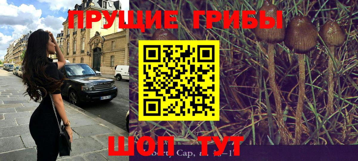 Галлюциногенные грибы Psilocybe  Галлюциногенные грибы Magic Shrooms  Вход с VPN  Ачхой-Мартан 