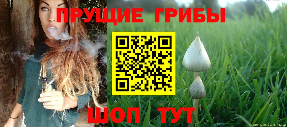 Галлюциногенные грибы мицелий Ачхой-Мартан